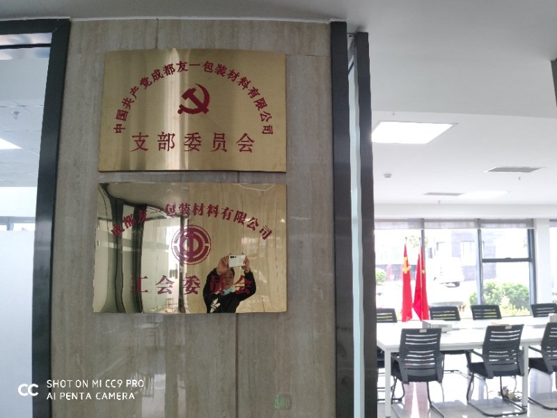 热烈祝贺佰富彩集团成都分公司党支部在2020年3月11日授牌成立，，，，，，，支部书记曹云(行政部经理)